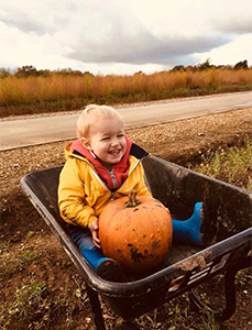 Pumpkin Picking at Algy's