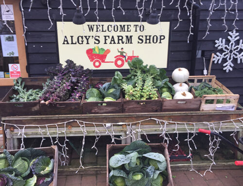 Godwick Turkeys and Seasonal Produce at Algy’s Farm Shop