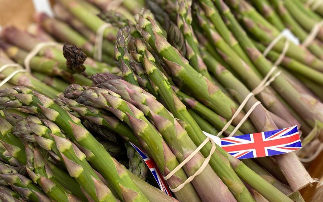 Asparagus from our Fields