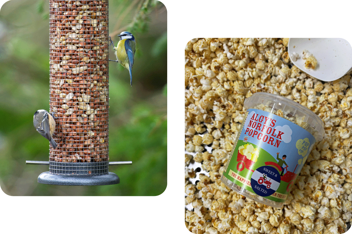 Birds on bird feeder and popcorn tub on popcorn.